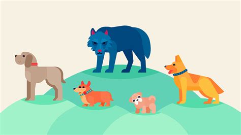 Rezultat imagine pentru CRISPR Explained