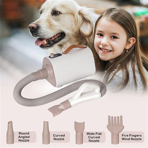 LBFO Pet Hair Dryer Review - Unveiling Dog Secrets: Elevate Your Dog ...