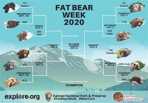 Fat Bear Week 2020 - Katmai National Park & Preserve (U.S. National Park Service)