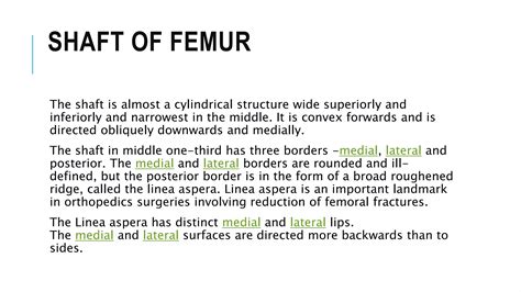 Femur bone lec3 | PPTX