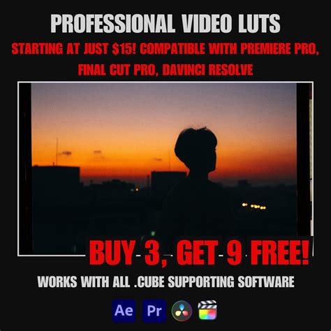 Ultimate 2024 Cinematic LUTs Pack for After Effects – Elevate Your ...
