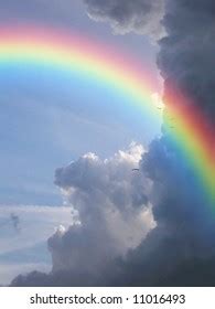Image result for Rainbow Spring Sticker