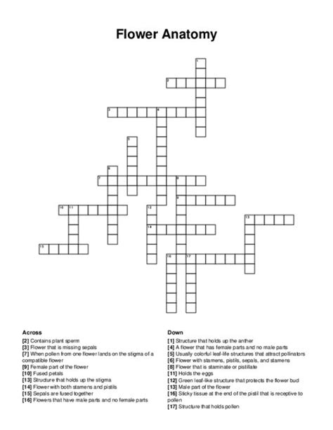 Long Part Of A Flower Crossword Clue | Best Flower Site