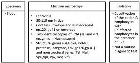 HIV Structure - Medical Science Optional Notes for UPSC PDF Download
