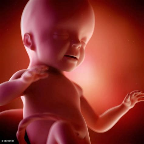 详细记录怀孕40周胎儿成长过程，从胚胎到宝宝，这些变化太神奇了-腾讯网