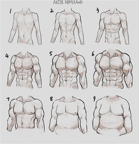 Male Body Types Chart
