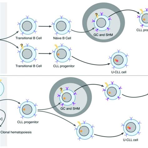 CLL Method 的图像结果