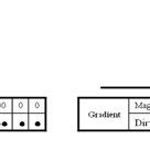 Image result for Signal Gradient