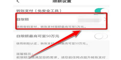 农行转账限额怎么调整_中国农业银行app转账限额调整方法_3DM手游