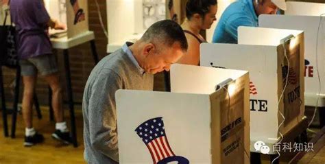 选举 的图像结果