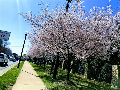 FAIRFAX RACQUET CLUB - Fairfax VA - Hours, Directions, Reviews - Loc8NearMe