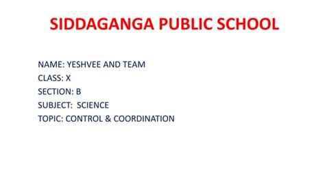 Image result for Class 10 Project File Science