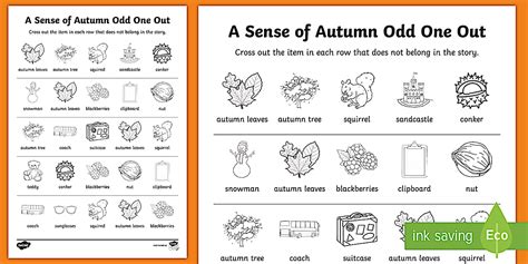 A Sense of Autumn Odd One Out Worksheet / Worksheet