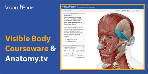 Image result for Visible Body Courseware