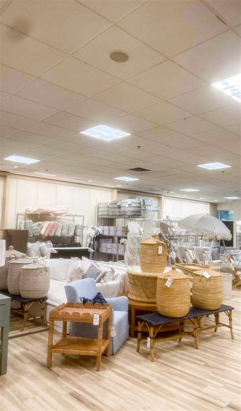 Serena lily – Artofit