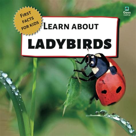Learn About Ladybirds - First Facts for Kids (First India | Ubuy