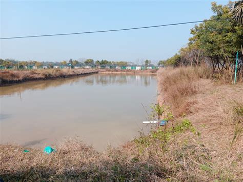 Harventurs Farming and Housing Projects Pvt. Ltd. - Home Page