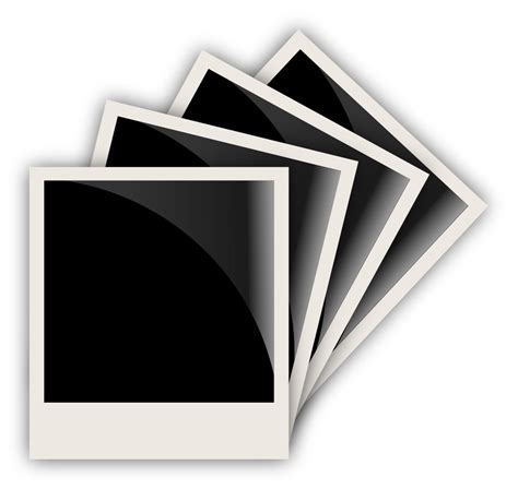 Image result for Vectror Photo