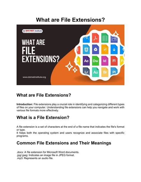 Explain File Extensions 的图像结果