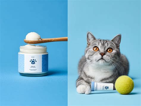 Image result for Homemade Cat Toothpaste