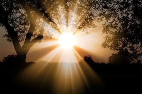 Hikkaduwa National Park Guide: All That You Need To Know