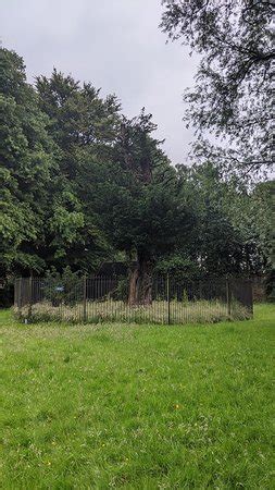 Elderslie Images - Vacation Pictures of Elderslie, Renfrewshire ...