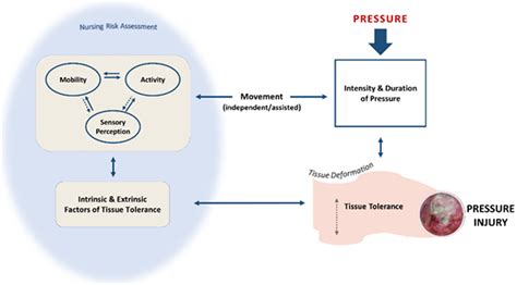 Nursing Assessment of Pressure Injury Risk with the Braden Scale Validated against Sensor-Based ...