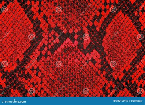 Image result for Red Python Snake Image