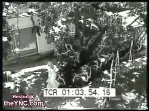 Image result for Homemade Bride Cheat Reception