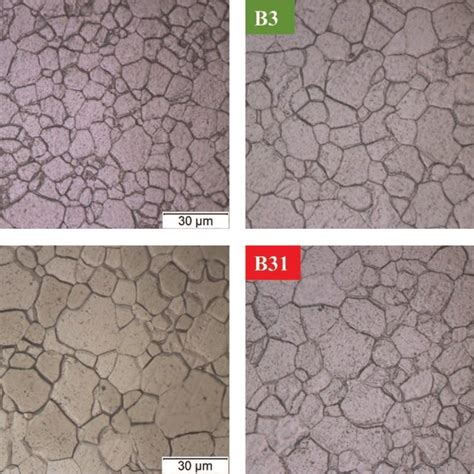 Image result for Microstructure Examination