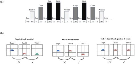 Gender Moderates the Neural Impact of Problematic Media Use on Working ...