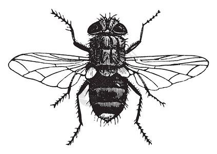 Image result for Digital Matrix Code
