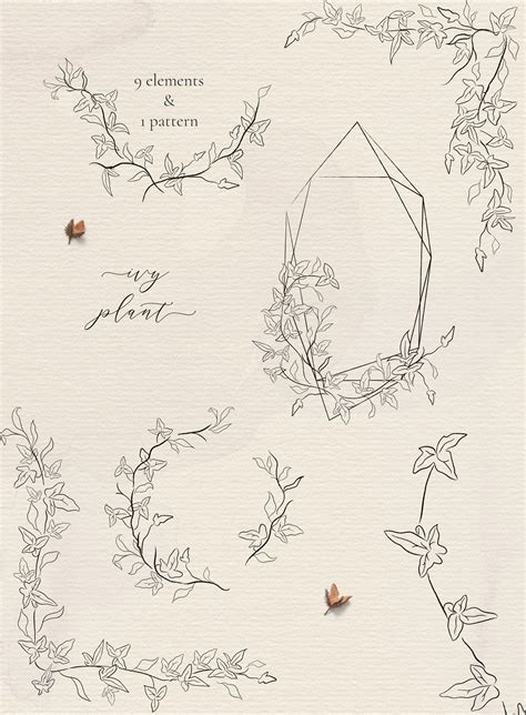 Ivy Vine Drawing