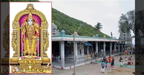 வருகின்ற 4-ம் தேதி மருதமலை கோயிலில் குடமுழுக்கு விழா.. கோயில் நிர்வாகம் ...