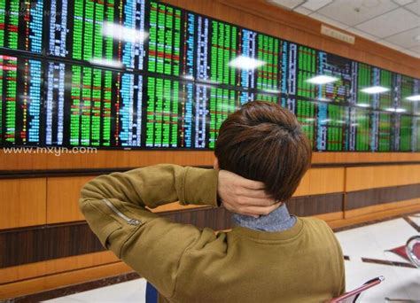 金融海啸巨浪来袭 实拍暴跌中的股市众生相_凤凰网财经_凤凰网
