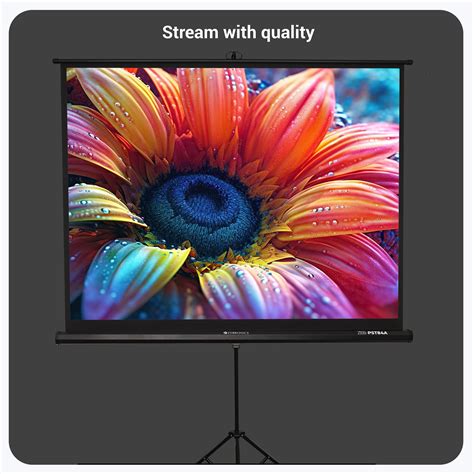 Zebronics PST84A Projector Screen