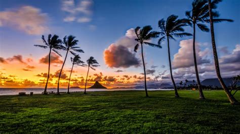 Bing Wallpaper Hawaii 的图像结果