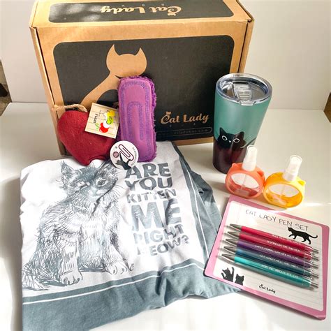 Image result for Lady with Comment Box