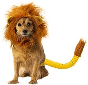 Rubie's Disney: Lion King Pet Costume Accessory Set, Small-Medium ...