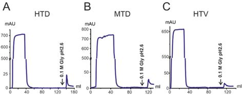 Natural IgG against S-Protein and RBD of SARS-CoV-2 Do Not Bind and ...