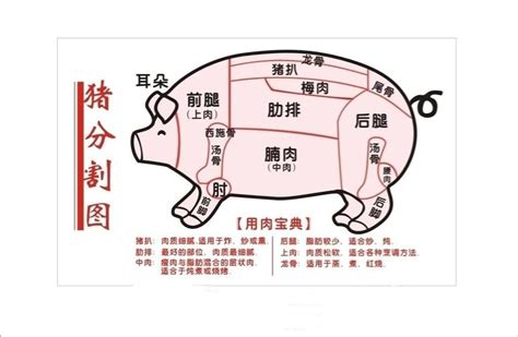 [槽头肉批发]槽头肉价格22.00元/公斤 - 一亩田
