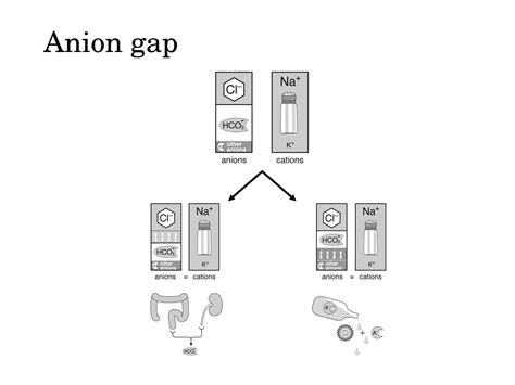 Non-anion gap Metabolic Acidosis (NAGMA) | PPT
