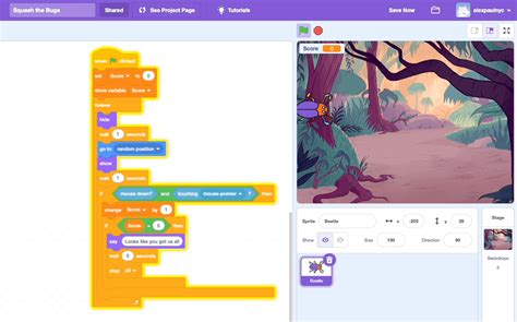Image result for Scratch Projects Scripts