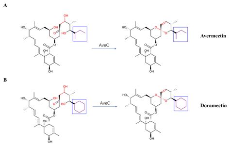 Functional Role of AveC Residues Ser138 and Ala139 for Avermectin and ...