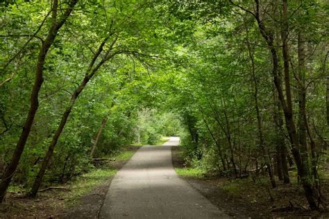 Image result for Insurance License Alberta