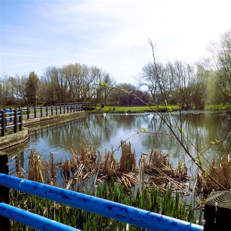 TOWYN PARK (2026) All You SHOULD Know Before Going (with Photos)