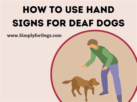 Image result for Hand Signs for Dogs
