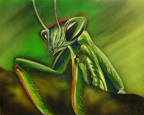 Praying Mantis by AirbrushFanatik on DeviantArt
