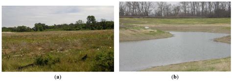 Transformation of an Industrial Brownfield into an Ecological Buffer ...