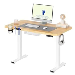 FLEXISPOT Basic Standing Sitting Desk, One Piece Tray 110 x 60 cm ...